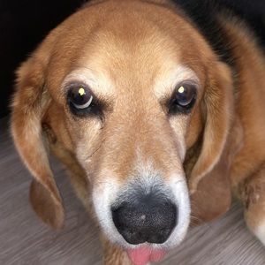 Meet your Posher, Nick